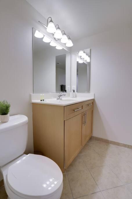 Bright And Cozy Apartment Near Pentagon City Arlington Exterior photo